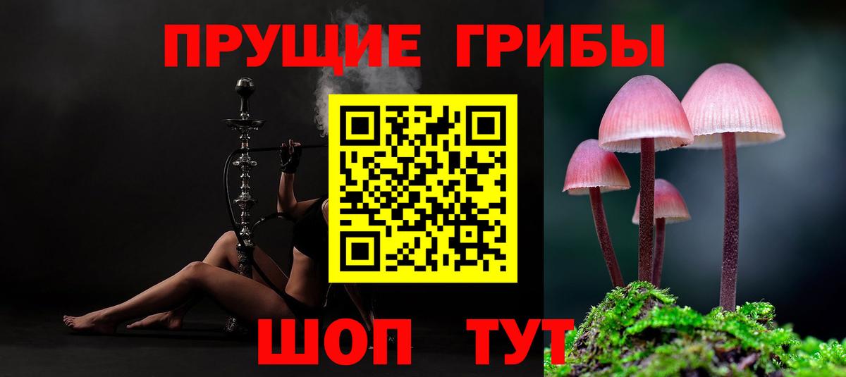 Псилоцибиновые грибы Magic Shrooms Прохладный